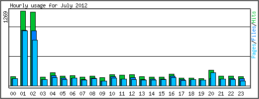 Hourly usage