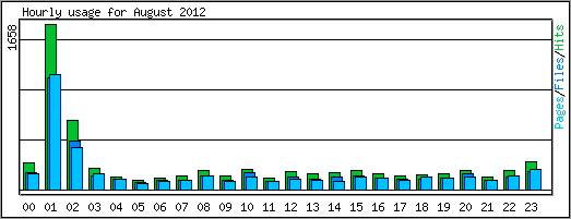 Hourly usage