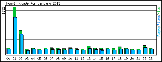 Hourly usage