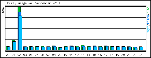 Hourly usage