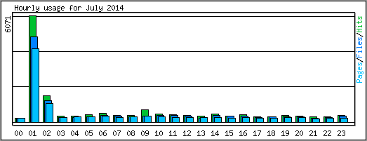 Hourly usage