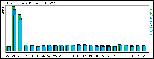 Hourly usage