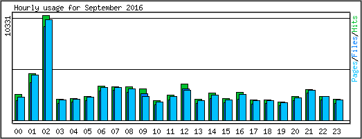 Hourly usage