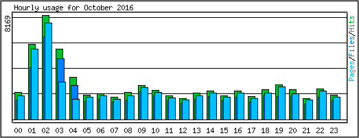 Hourly usage