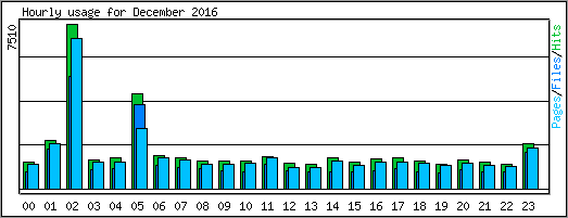 Hourly usage