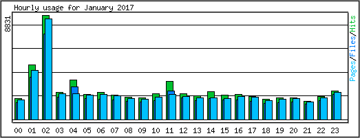 Hourly usage