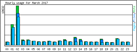 Hourly usage