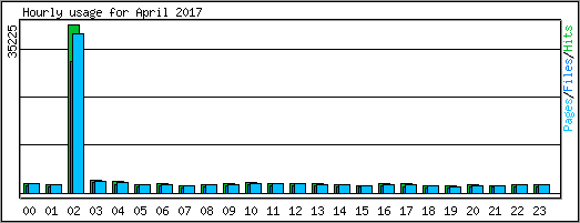 Hourly usage