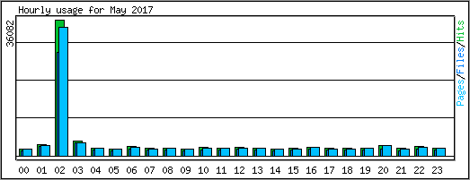 Hourly usage