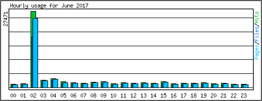 Hourly usage