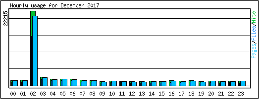 Hourly usage