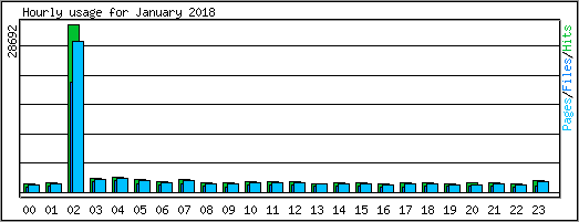 Hourly usage