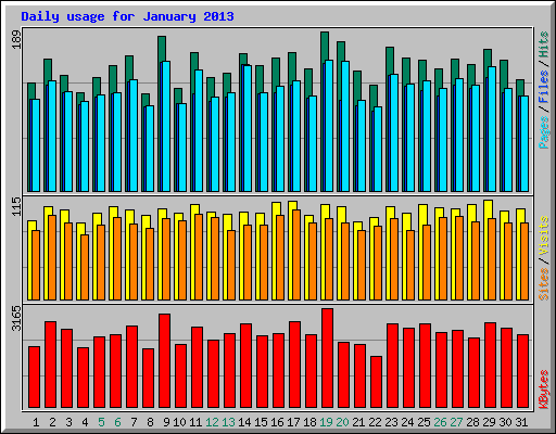 Daily usage for January 2013