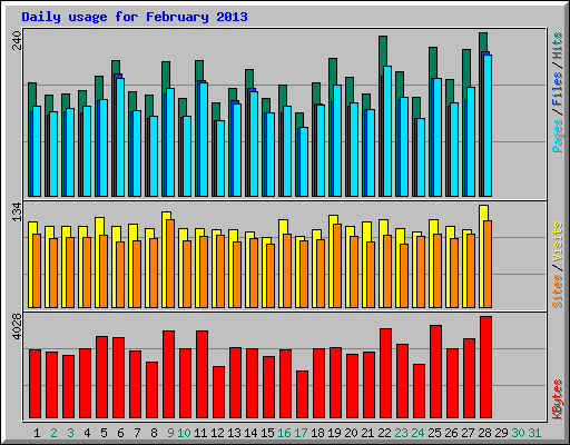 Daily usage for February 2013