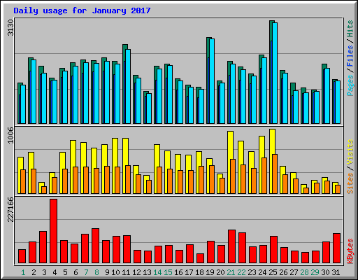 Daily usage for January 2017