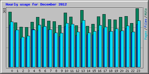 Hourly usage for December 2012