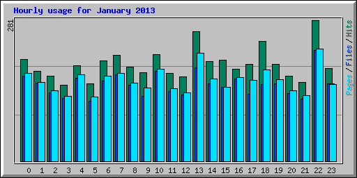 Hourly usage for January 2013