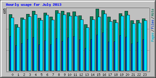 Hourly usage for July 2013