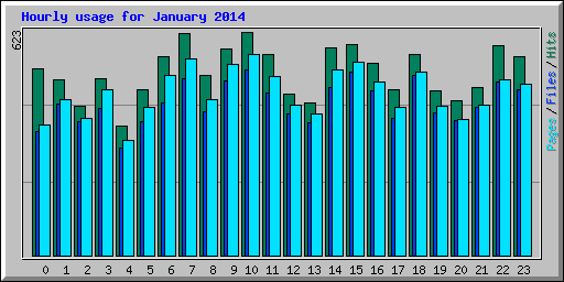 Hourly usage for January 2014