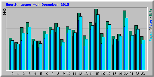 Hourly usage for December 2015