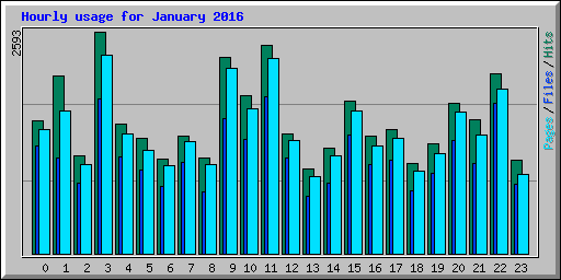 Hourly usage for January 2016