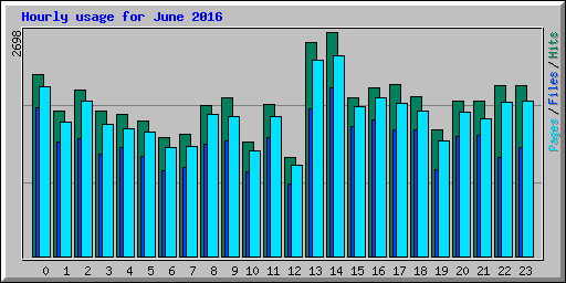 Hourly usage for June 2016