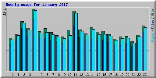 Hourly usage for January 2017