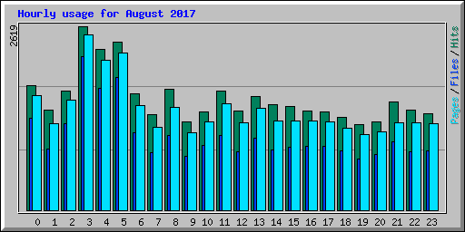 Hourly usage for August 2017