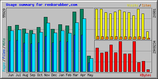 Usage summary for renkorubber.com